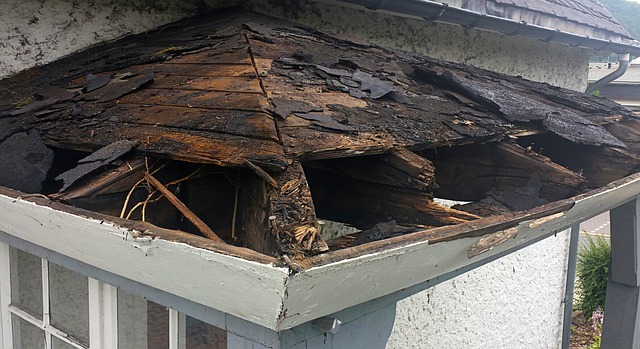 Roof Stem