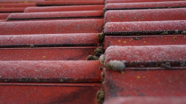 Tile Roof