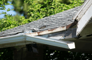 Cost Delaying a new roof